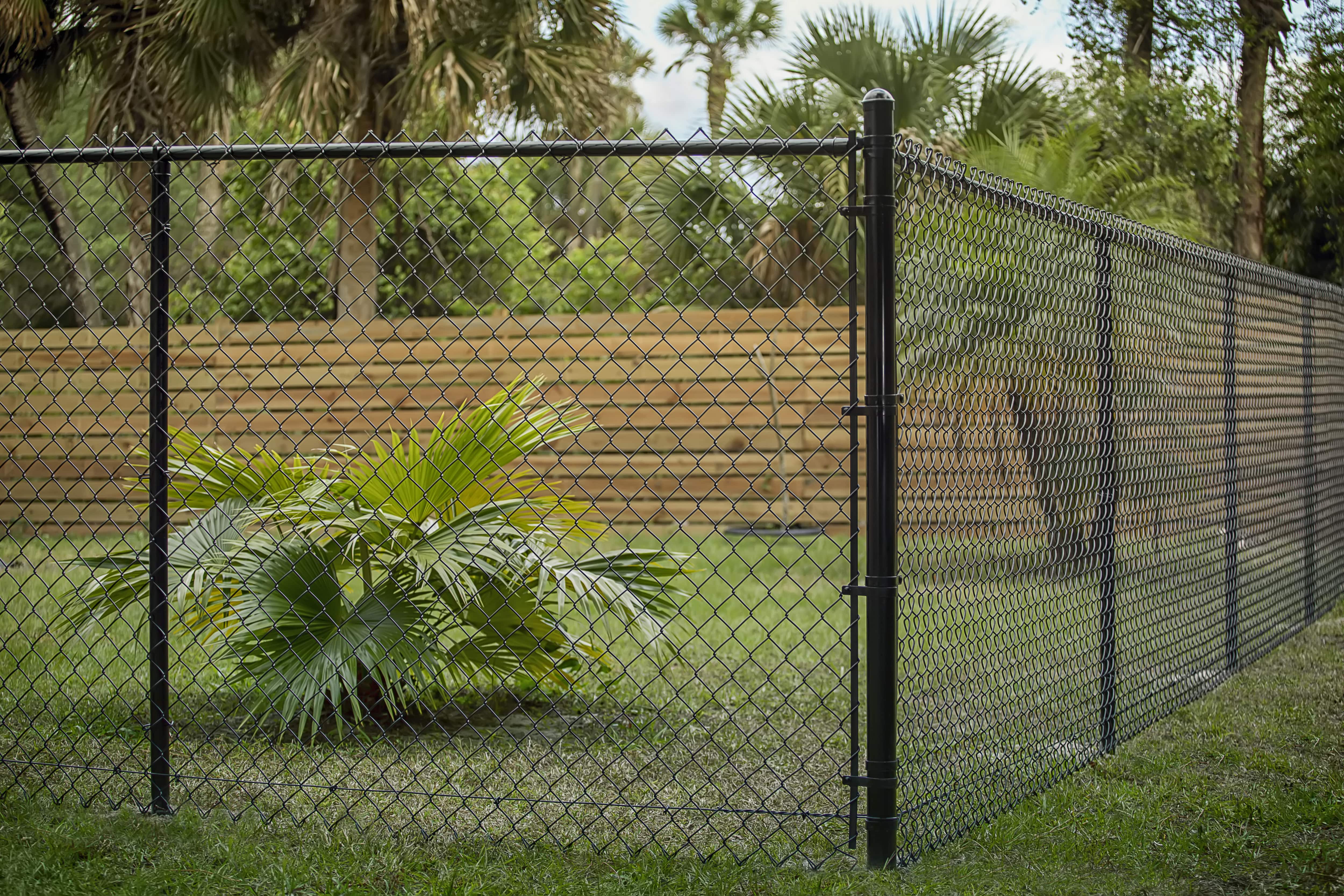 A black chain-link fence in a backyard with surrounding tropical plants